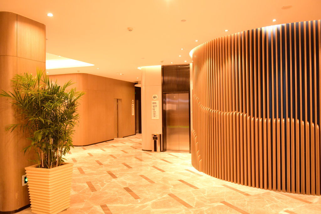 Holiday Inn Express Lhasa Potala Palace, An Ihg Hotel Εξωτερικό φωτογραφία